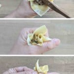 collage of three photos showing how to fold a wonton.