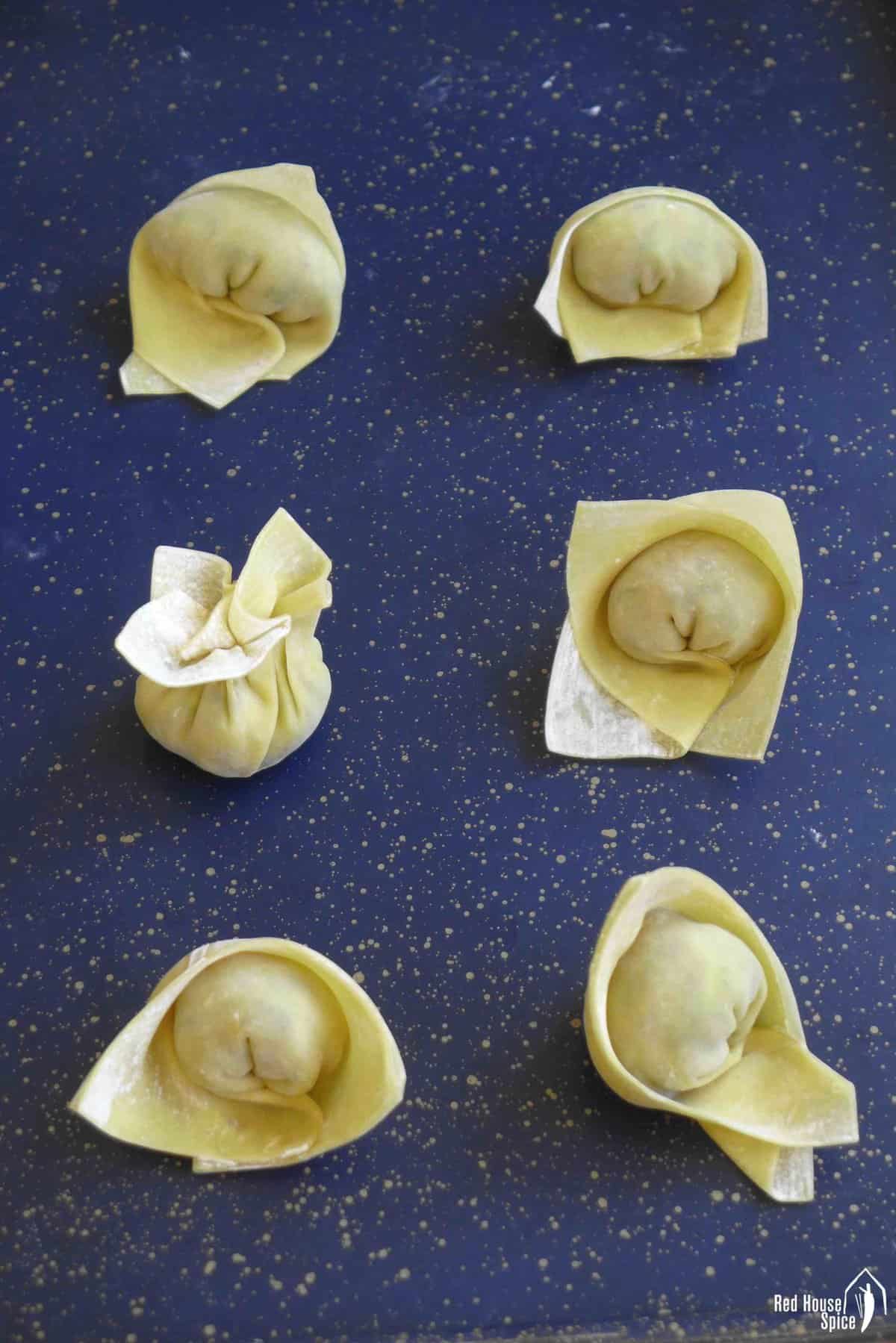 six wontons folded in different ways.